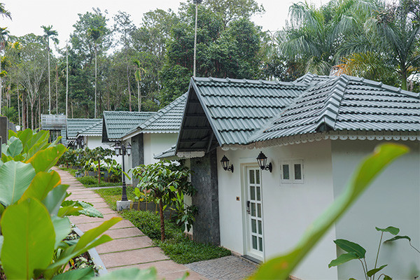 What Makes a Premium Resort in Wayanad Different from a Standard Resort?